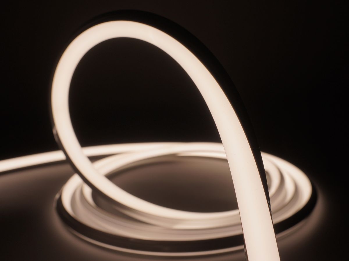 Neon Flex 1010(10x10mm) 24V 2