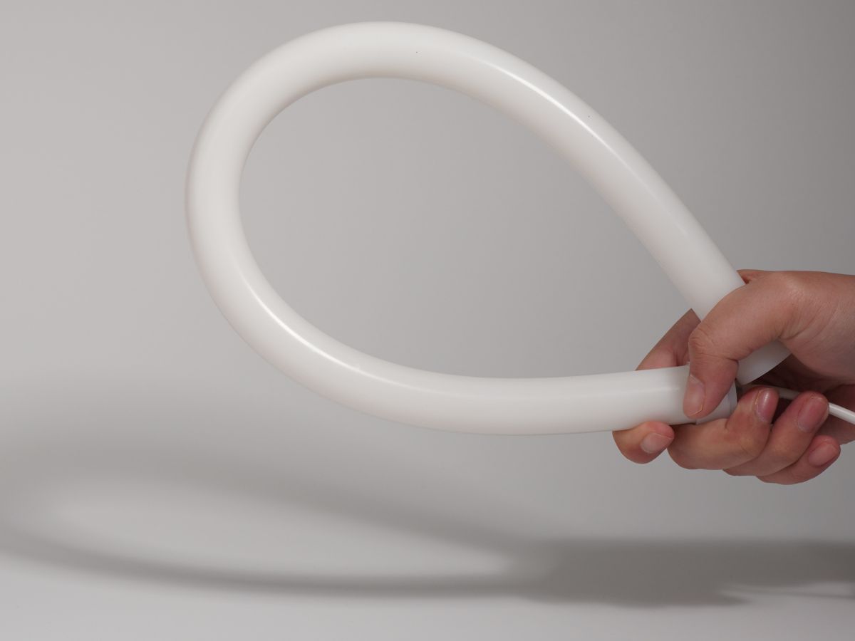 Neon Flex 360-Degree 24V 3