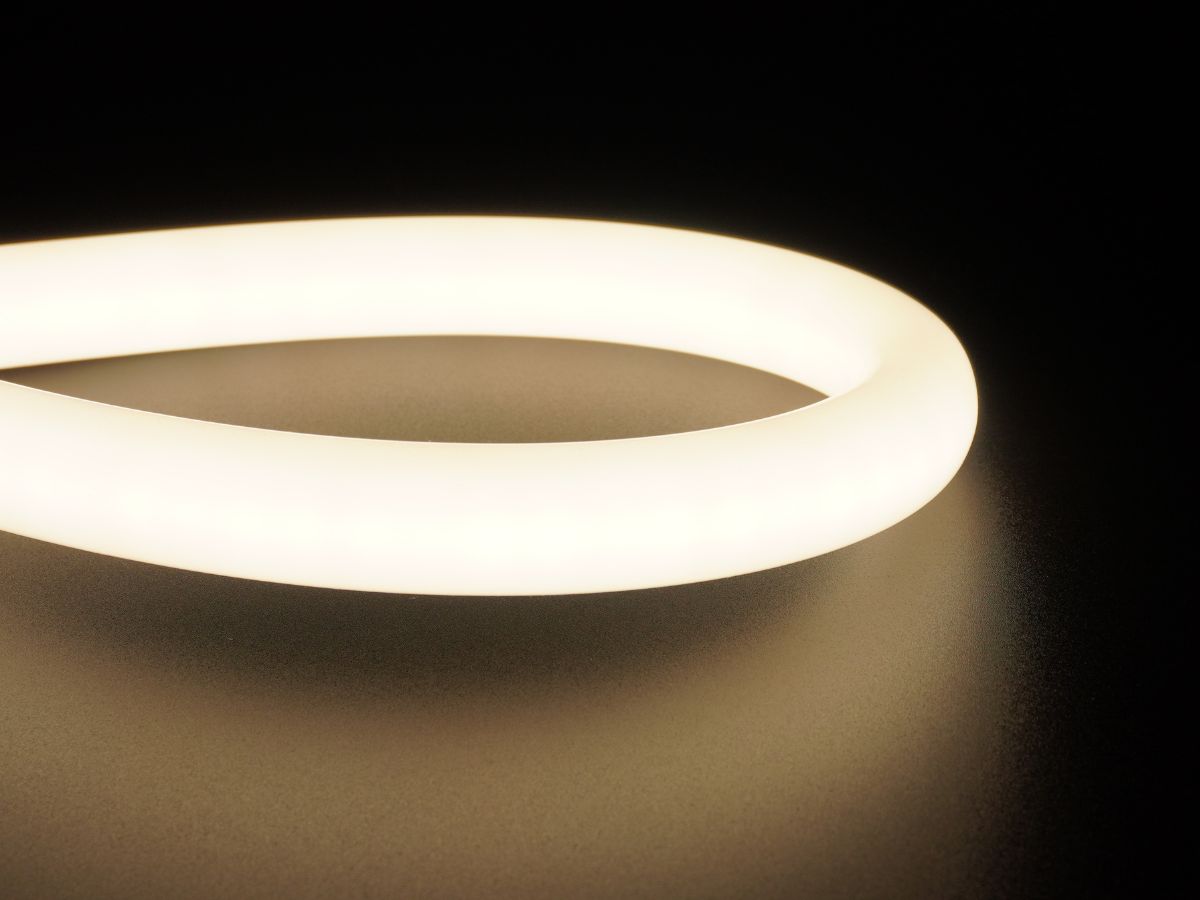 Neon Flex 360-Degree 24V